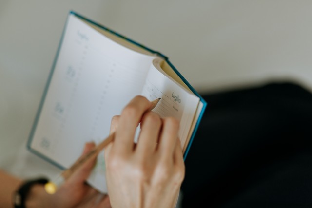 agenda professional organizer agenda professional organizer